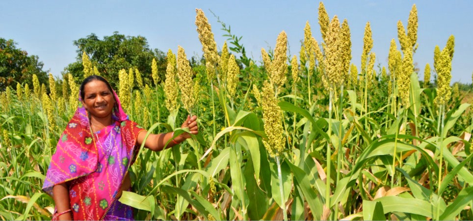 Rural Transformation