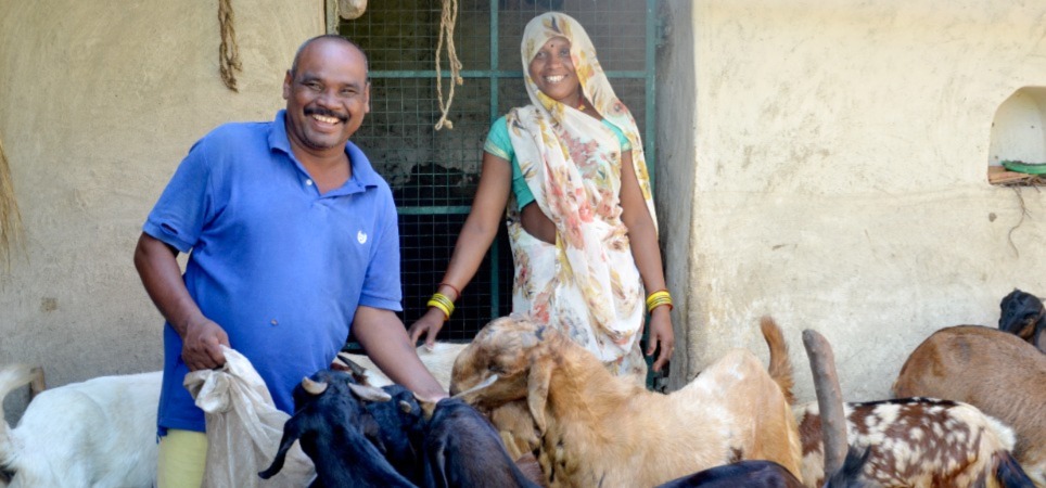 Rural Transformation