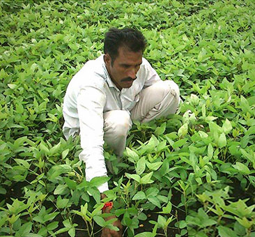 Rural Transformation Rural Transformation