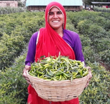 Women Empowerment Women Empowerment