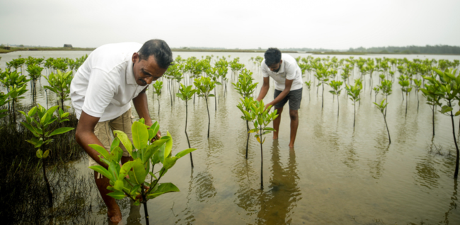 6. Disaster Management