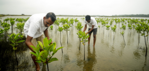 DM Cover for what we do